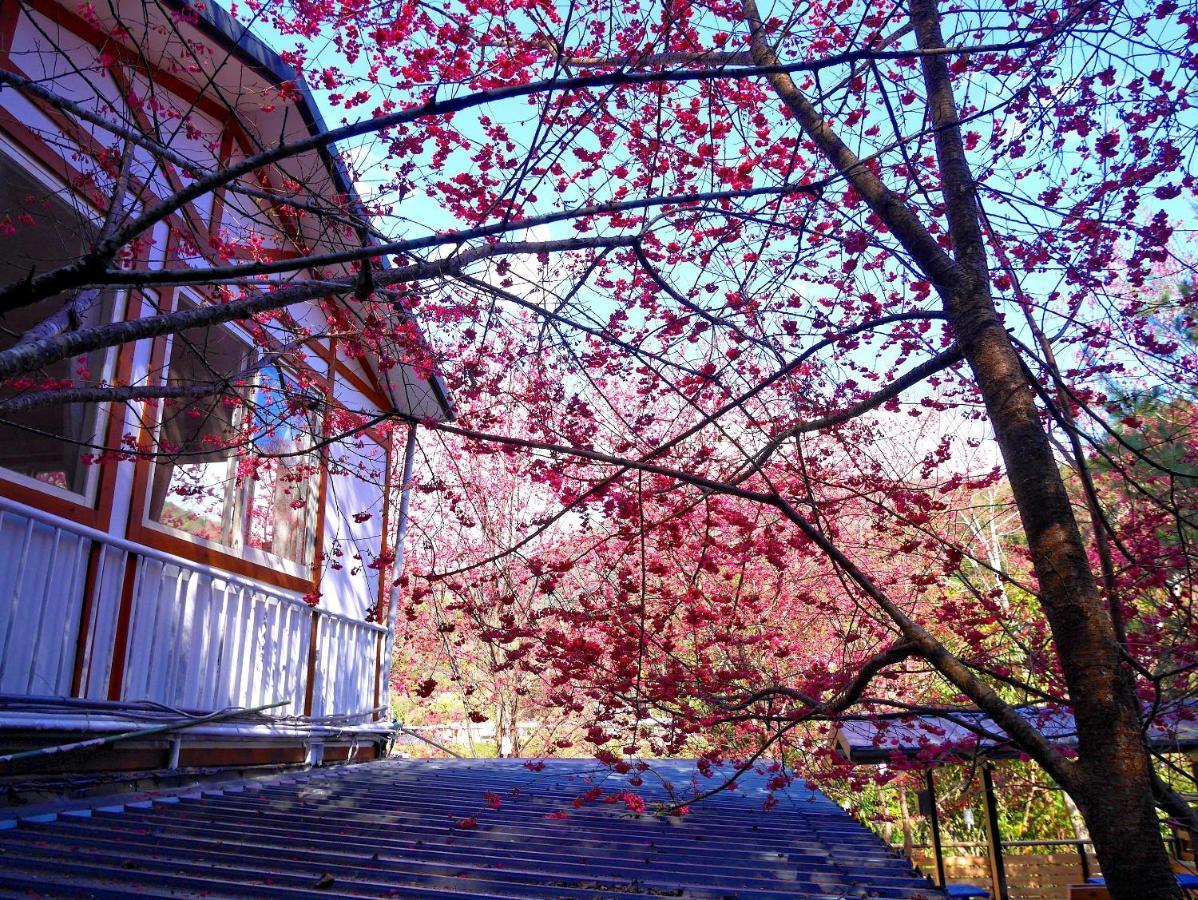 森之秘湯 Mhuwe Hotspring Lägenhet Renai Rum bild